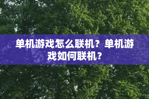 单机游戏怎么联机图片
