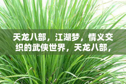 情义交织的武侠江湖梦图片