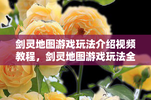剑灵地图游戏玩法介绍视频教程图片