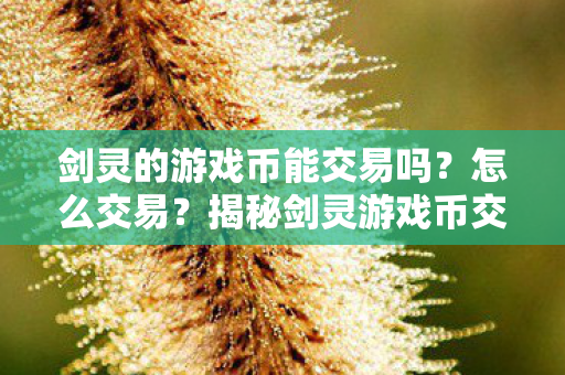 揭秘剑灵游戏币交易攻略图片