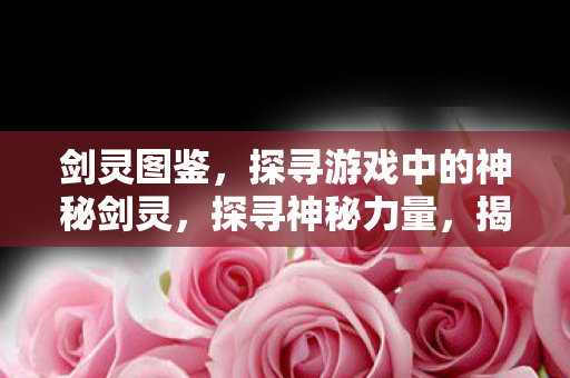 揭秘剑灵中的神秘剑灵图鉴图片