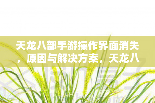 天龙八部手游操作界面消失图片