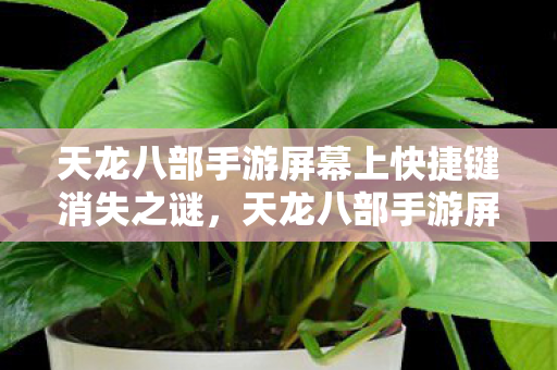 天龙八部手游屏幕上快捷键消失之谜图片