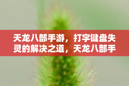 天龙八部手游键盘失灵怎么办图片