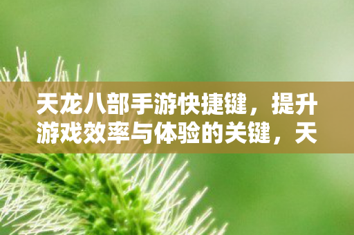 提升游戏效率与体验的关键图片