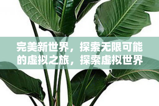 探索无限可能的虚拟之旅图片
