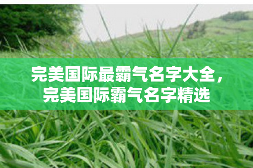 完美国际最霸气名字大全图片