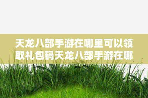 天龙八部手游在哪里可以领取礼包码天龙八部手游在哪里可以领取礼包图片