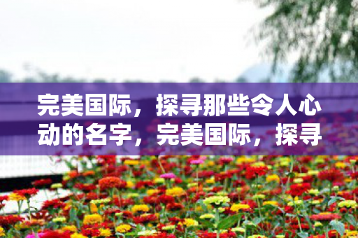 探寻那些令人心动的名字图片