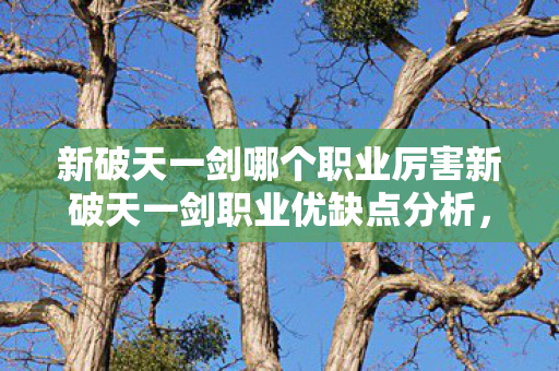 新破天一剑哪个职业厉害新破天一剑职业优缺点分析,新破天一剑职业优缺点分析,哪个职业最厉害? 新破天一剑哪个职业厉害新破天一剑职业优缺点分析,新破天一剑职业优缺点分析,哪个职业最厉害?