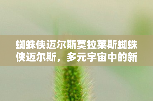蜘蛛侠迈尔斯莫拉莱斯蜘蛛侠迈尔斯，多元宇宙中的新英雄，多元宇宙中的新英雄，蜘蛛侠迈尔斯莫拉莱斯