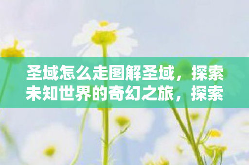 圣域怎么走图解圣域,探索未知世界的奇幻之旅,探索奇幻之旅,图解圣域,如何走向未知世界? 圣域怎么走图解圣域,探索未知世界的奇幻之旅,探索奇幻之旅,图解圣域,如何走向未知世界?