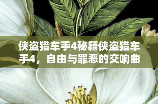 侠盗猎车手4秘籍侠盗猎车手4，自由与罪恶的交响曲，侠盗猎车手4，自由与罪恶的交响曲