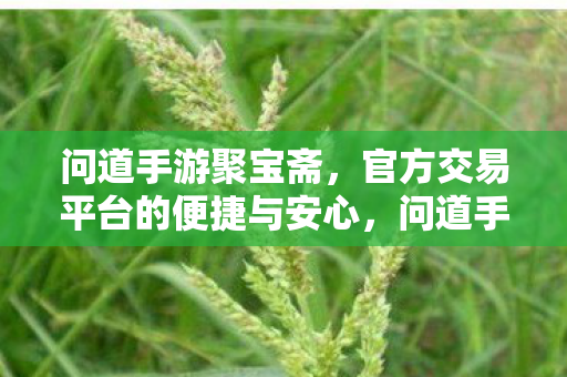 问道手游聚宝斋,官方交易平台的便捷与安心,问道手游聚宝斋,官方交易平台的便捷与安心体验 问道手游聚宝斋,官方交易平台的便捷与安心,问道手游聚宝斋,官方交易平台的便捷与安心体验
