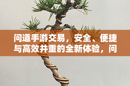 问道手游交易,安全、便捷与高效并重的全新体验,问道手游交易,安全便捷高效,打造全新交易体验 问道手游交易,安全、便捷与高效并重的全新体验,问道手游交易,安全便捷高效,打造全新交易体验