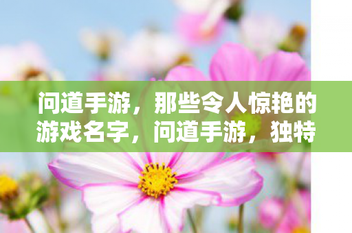 问道手游，那些令人惊艳的游戏名字，问道手游，独特游戏名字大赏，让你惊艳不已！