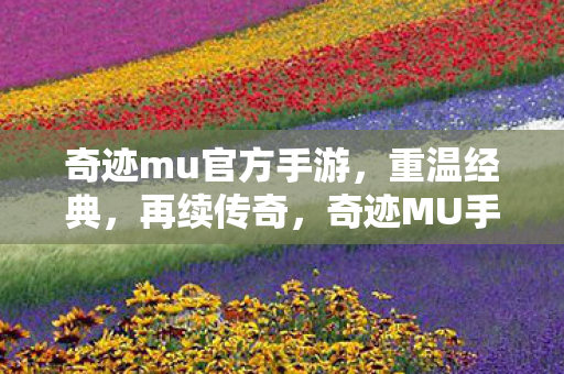 奇迹mu官方手游图片