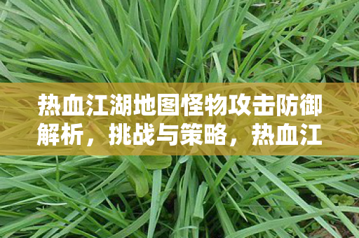 热血江湖地图怪物攻击防御解析，挑战与策略，热血江湖，地图怪物攻防解析与策略挑战