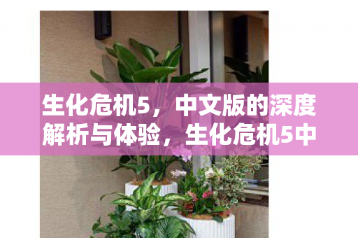 生化危机5中文版深度解析与体验图片