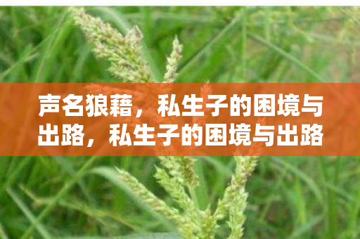 声名狼藉中的探索与挑战图片