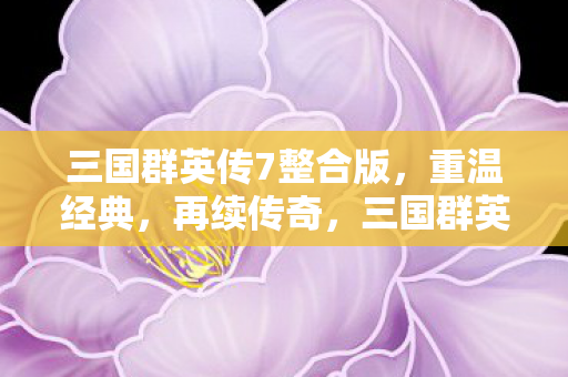 三国群英传7整合版图片