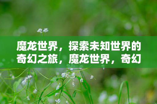 探索未知世界的奇幻之旅图片