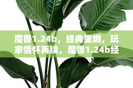 24b经典重燃图片