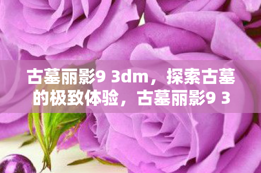 古墓丽影9 3dm图片