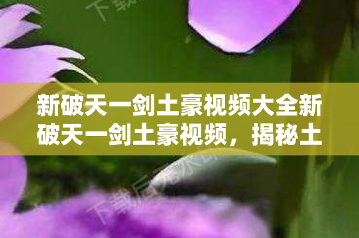 新破天一剑土豪视频大全新破天一剑土豪视频,揭秘土豪玩家的游戏世界,揭秘土豪玩家的游戏世界,新破天一剑土豪视频大放送 新破天一剑土豪视频大全新破天一剑土豪视频,揭秘土豪玩家的游戏世界,揭秘土豪玩家的游戏世界,新破天一剑土豪视频大放送