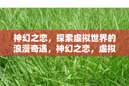 探索虚拟世界的浪漫奇遇图片