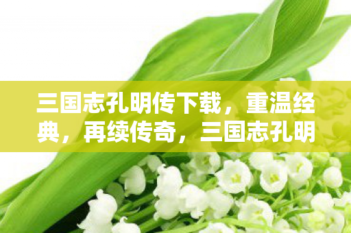 三国志孔明传经典再现图片