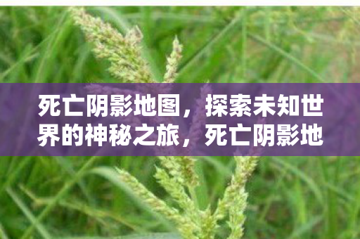 探索未知世界的神秘之旅图片
