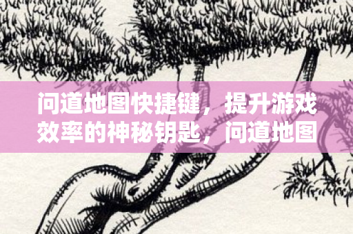 问道地图快捷键,提升游戏效率的神秘钥匙,问道地图快捷键,解锁游戏效率提升的秘密钥匙 问道地图快捷键,提升游戏效率的神秘钥匙,问道地图快捷键,解锁游戏效率提升的秘密钥匙