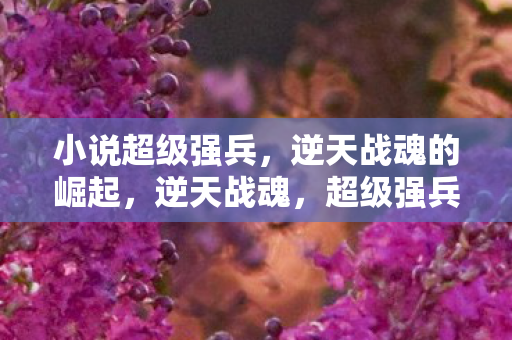 逆天战魂的崛起图片