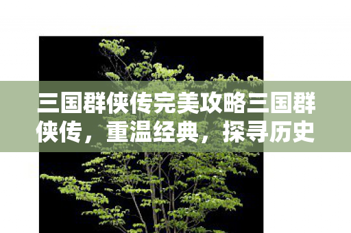 三国群侠传完美攻略三国群侠传图片