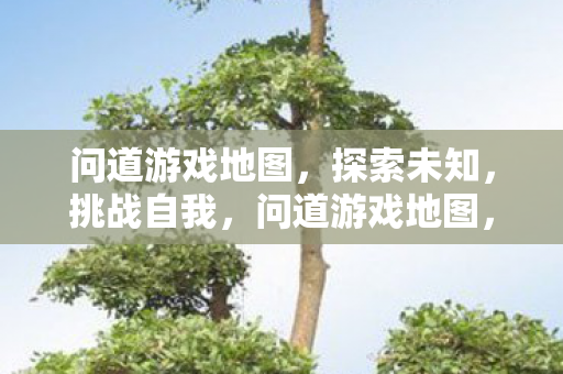 问道游戏地图，探索未知，挑战自我，问道游戏地图，探索未知，挑战自我