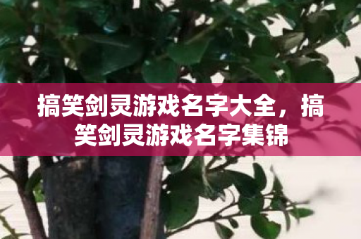 搞笑剑灵游戏名字大全图片