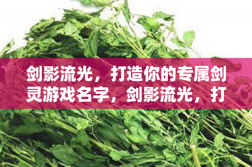 打造你的专属剑灵游戏名字图片