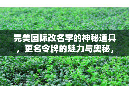解锁完美国际改名的神秘道具图片