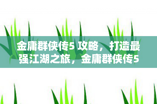 金庸群侠传5 攻略图片