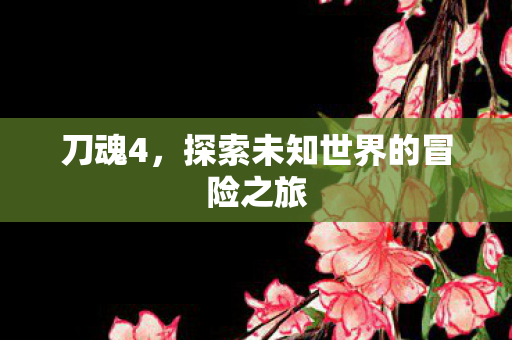 探索未知世界的冒险之旅图片