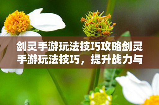 剑灵手游玩法技巧攻略剑灵手游玩法技巧图片