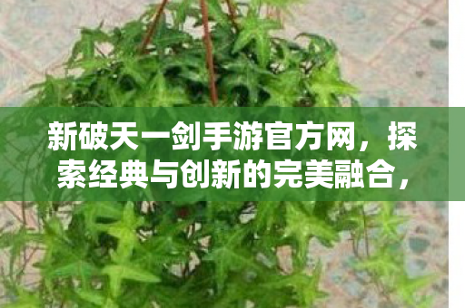 新破天一剑手游官方网,探索经典与创新的完美融合,新破天一剑手游,经典与创新完美融合 新破天一剑手游官方网,探索经典与创新的完美融合,新破天一剑手游,经典与创新完美融合