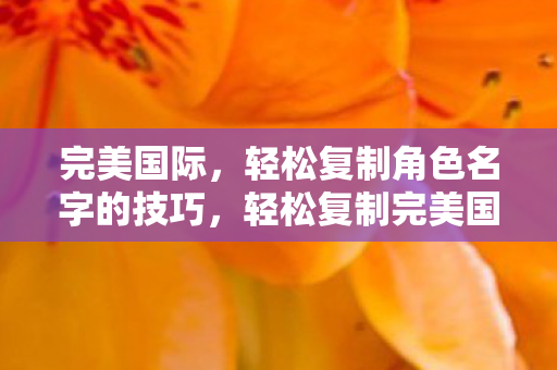 轻松复制完美国际角色名字的技巧图片