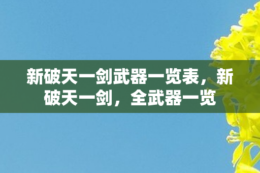 新破天一剑武器一览表,新破天一剑,全武器一览 新破天一剑武器一览表,新破天一剑,全武器一览