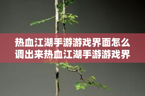 热血江湖手游游戏界面怎么调出来热血江湖手游游戏界面怎么调，热血江湖手游游戏界面怎么调出来