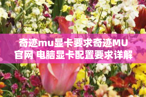 奇迹mu显卡要求奇迹MU官网 电脑显卡配置要求详解图片