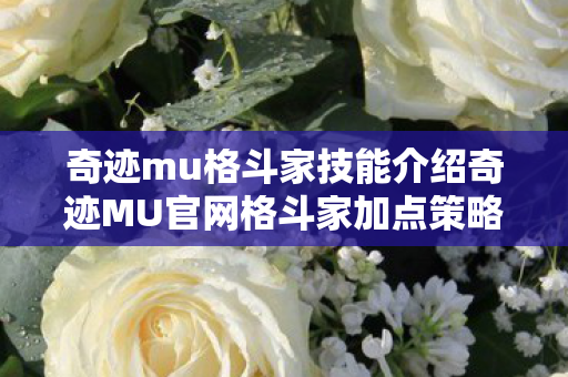 奇迹mu格斗家技能介绍奇迹MU官网格斗家加点策略图片