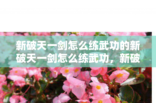 新破天一剑怎么练武功的新破天一剑怎么练武功，新破天一剑，武功修炼全攻略