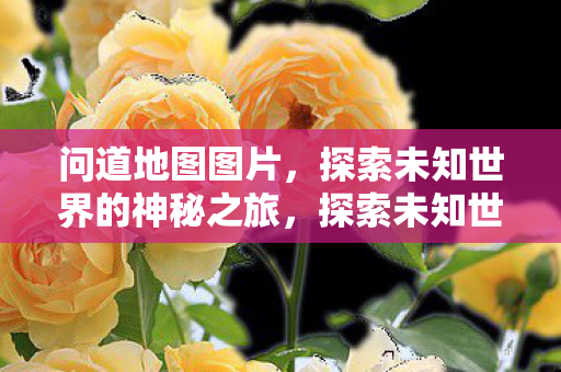 问道地图图片，探索未知世界的神秘之旅，探索未知世界的神秘之旅，问道地图图片